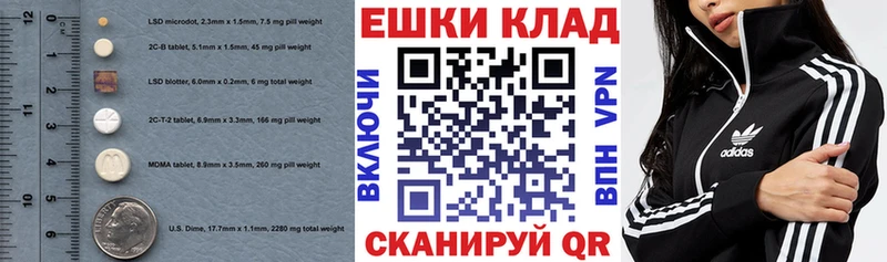 где можно купить наркотик  Грозный  гидра зеркало  ЭКСТАЗИ 300 mg 