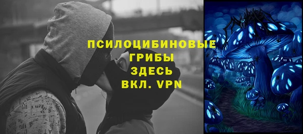 спиды Абаза