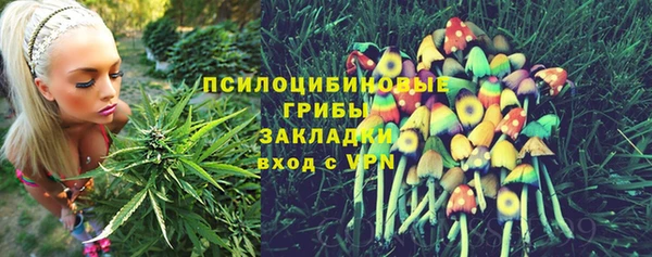 мдпв Магас