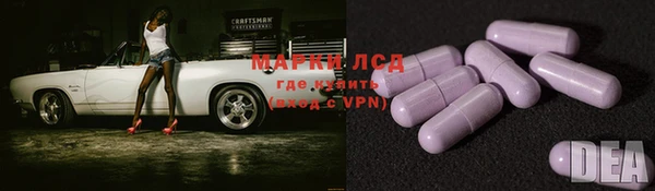 спиды Абаза